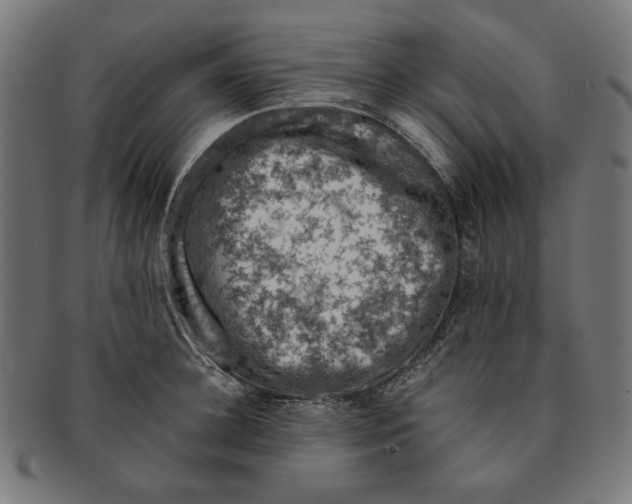 X0000091220948200709061457