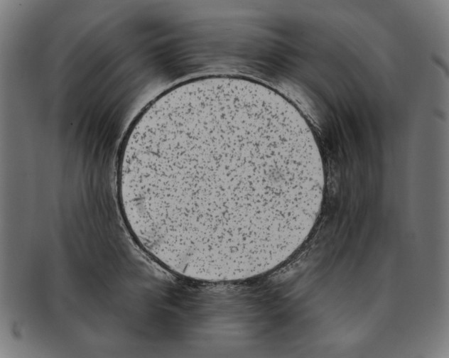 X0000091220950200709061457