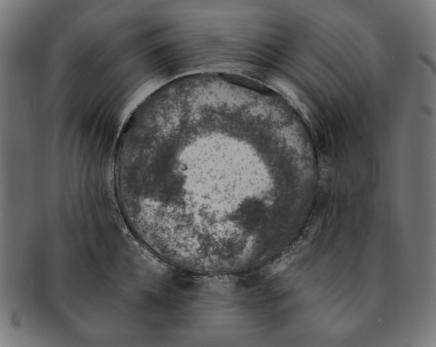 X0000091220952200709061457