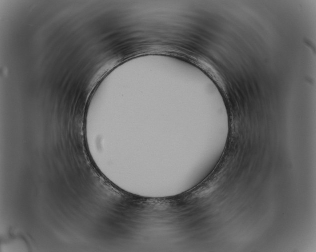 X0000091220954200709061457