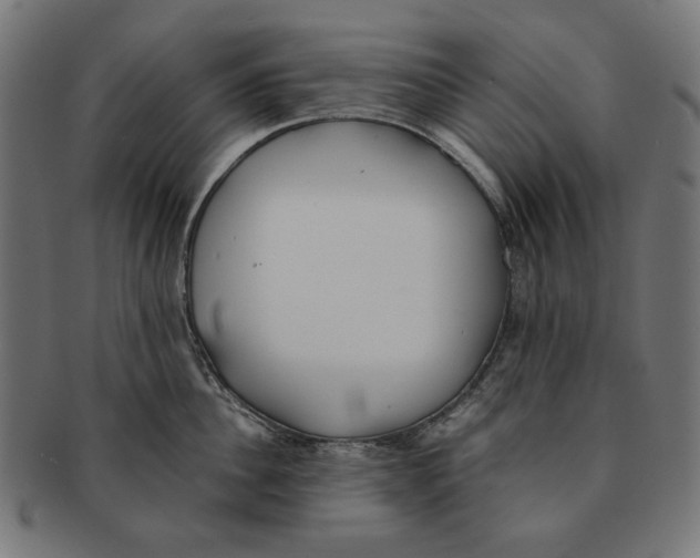 X0000091220956200709061457