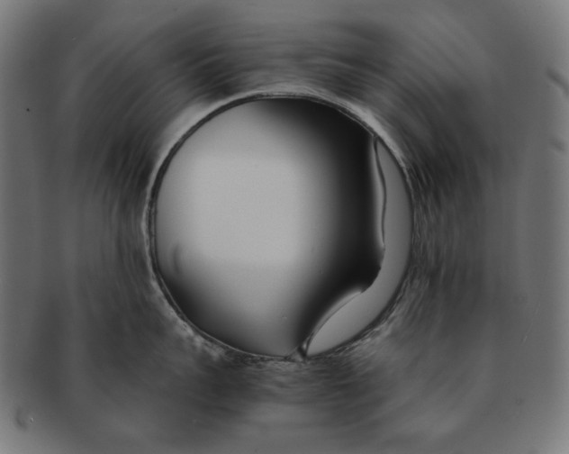 X0000091220959200709061457