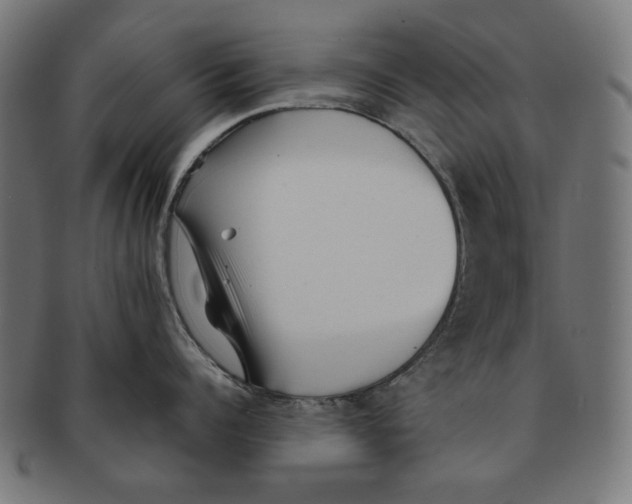 X0000091220960200709061457