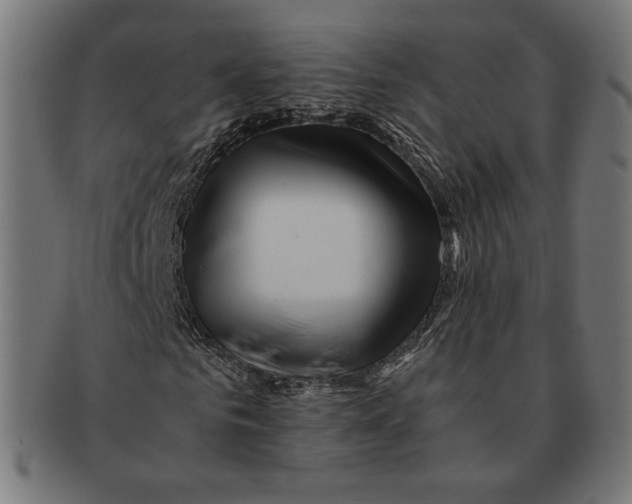 X0000091220961200709061456