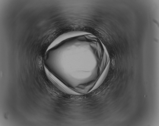 X0000091220963200709061456