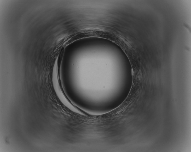 X0000091220965200709061456