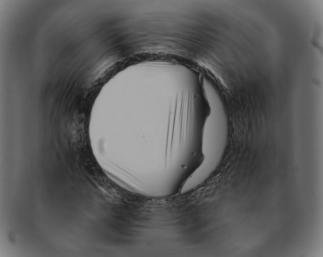 X0000091220968200709061456