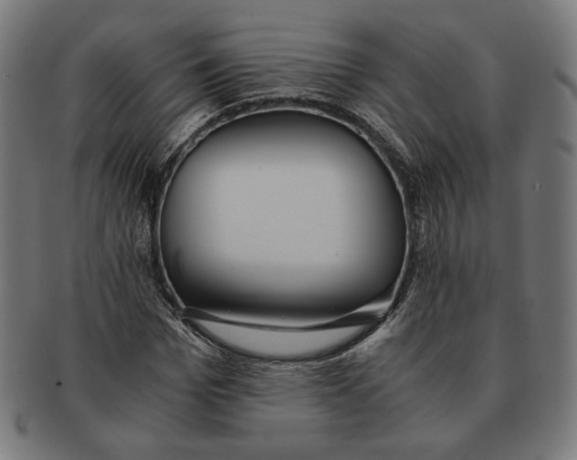 X0000091220969200709061456