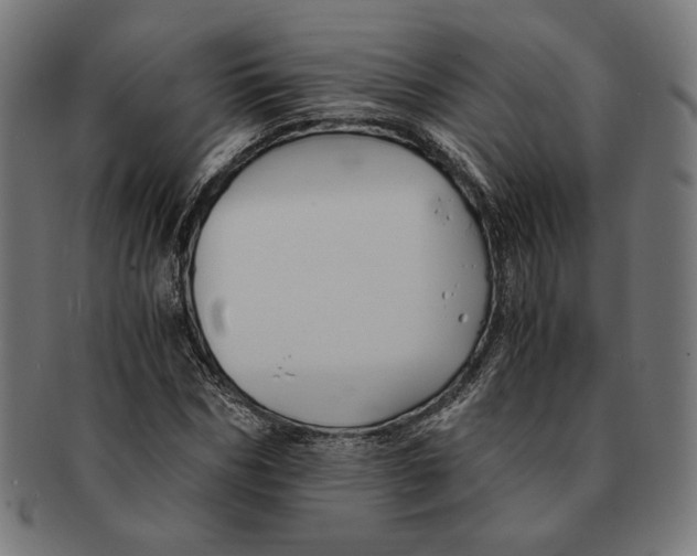 X0000091220970200709061456