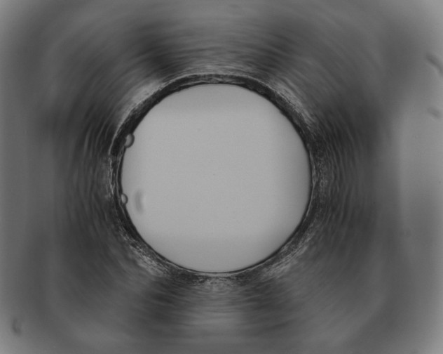 X0000091220974200709061456