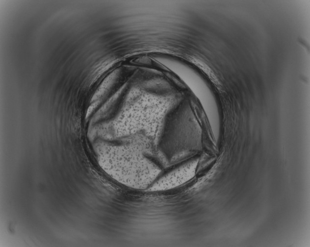 X0000091220977200709061456