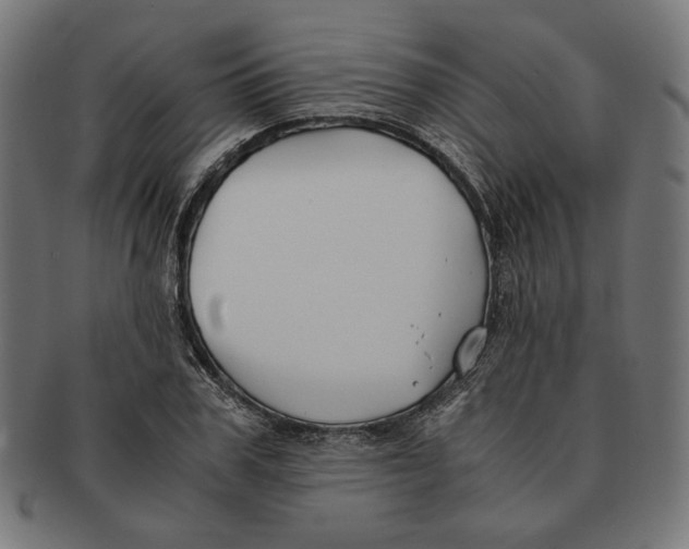 X0000091220979200709061456