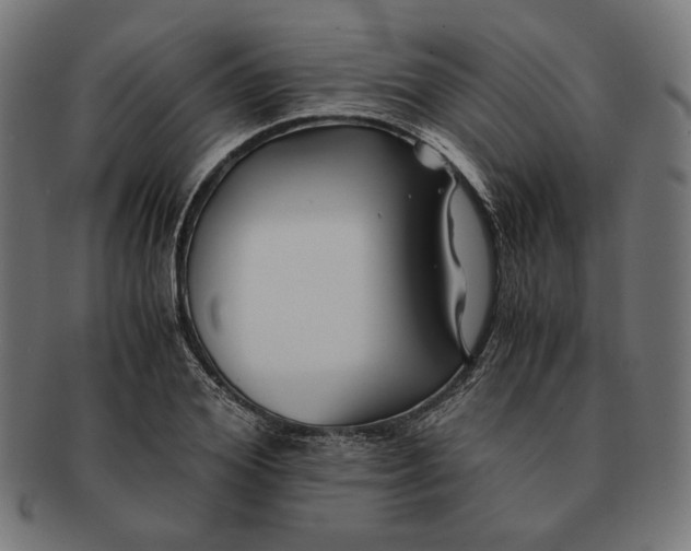 X0000091220980200709061456