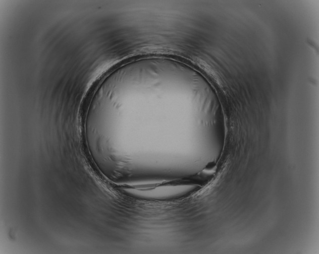 X0000091220981200709061456