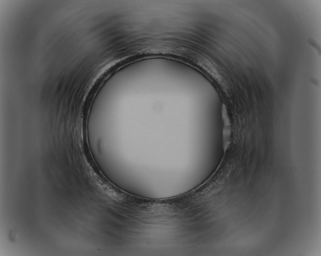 X0000091220984200709061456