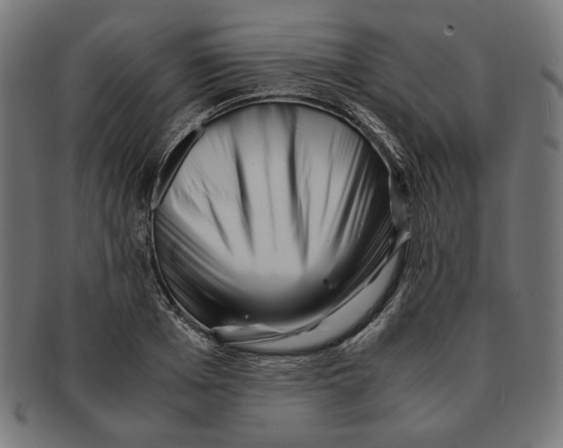 X0000091220985200709061456