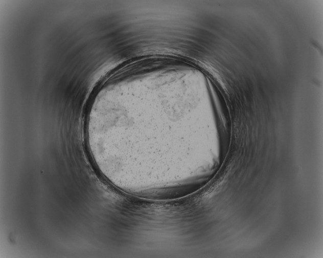 X0000091220987200709061456