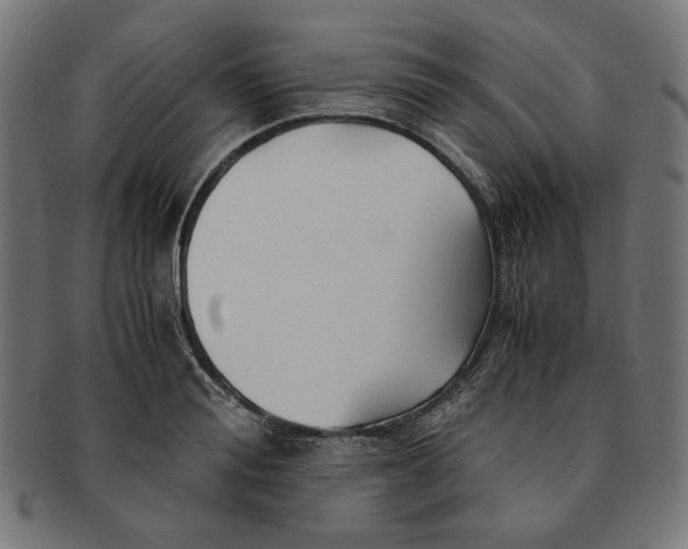 X0000091220988200709061456