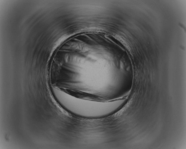 X0000091220989200709061456