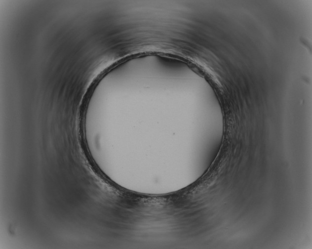 X0000091220991200709061456