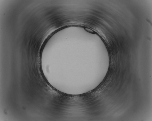 X0000091220992200709061456