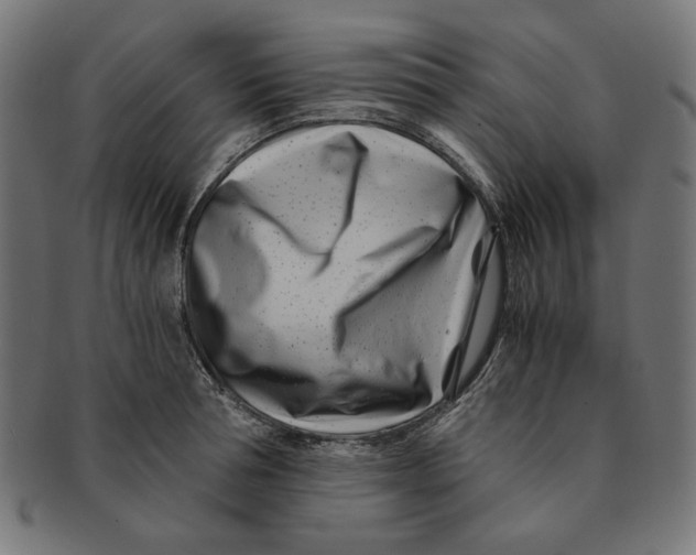 X0000091220994200709061456