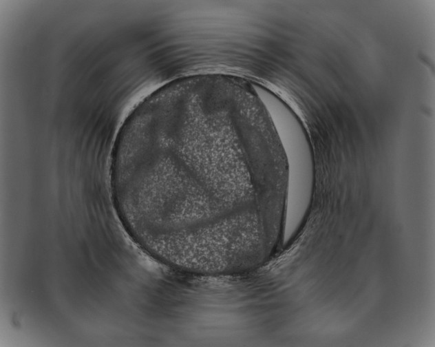 X0000091220995200709061456