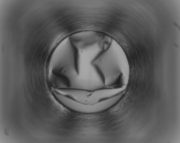 X0000091220998200709061456