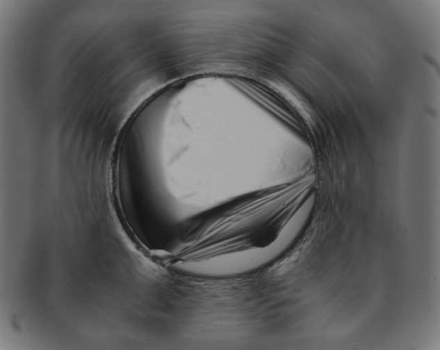 X0000091220999200709061456