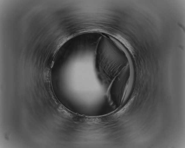 X0000091221001200709061456