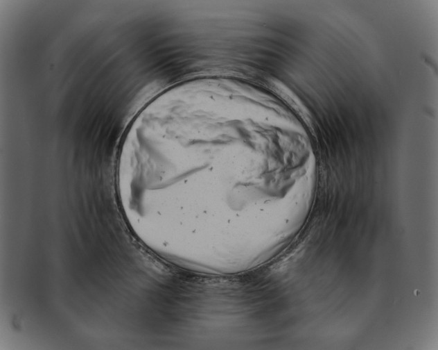 X0000091221002200709061456