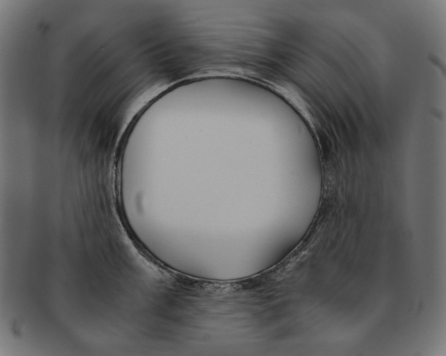 X0000091221003200709061456