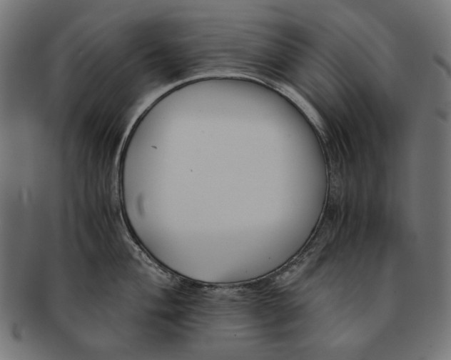 X0000091221004200709061456