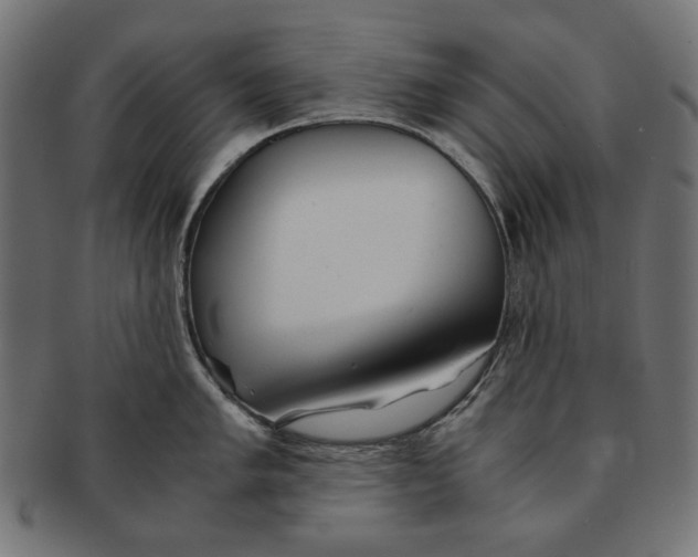 X0000091221005200709061456