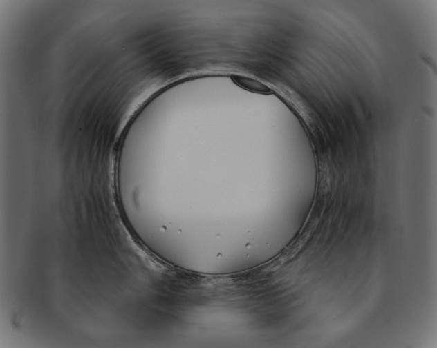 X0000091221006200709061456