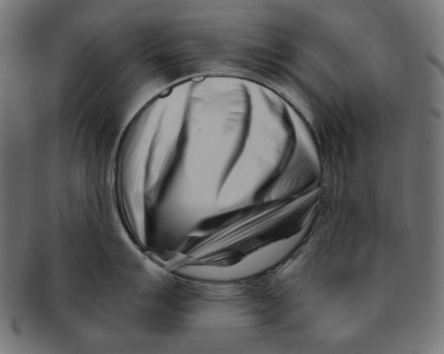 X0000091221007200709061456