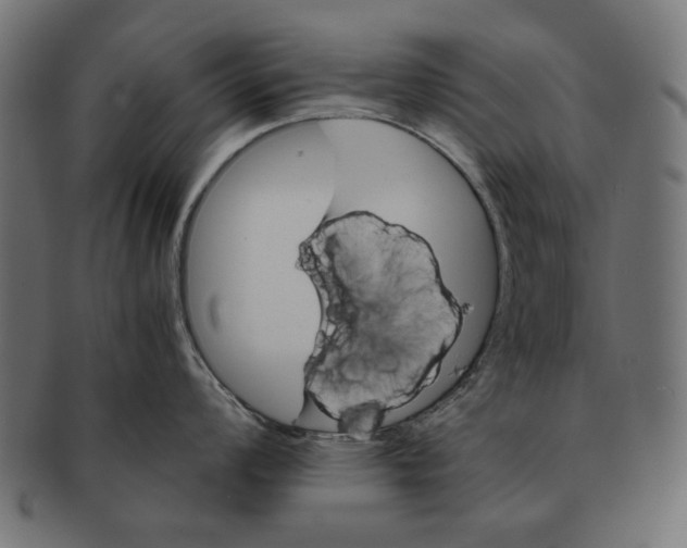 X0000091221008200709061456