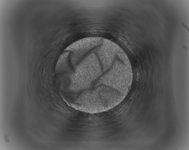 X0000091221009200709061455