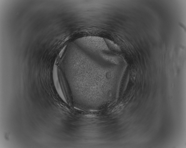 X0000091221010200709061455