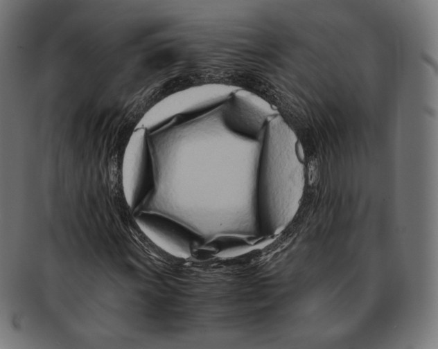 X0000091221011200709061455