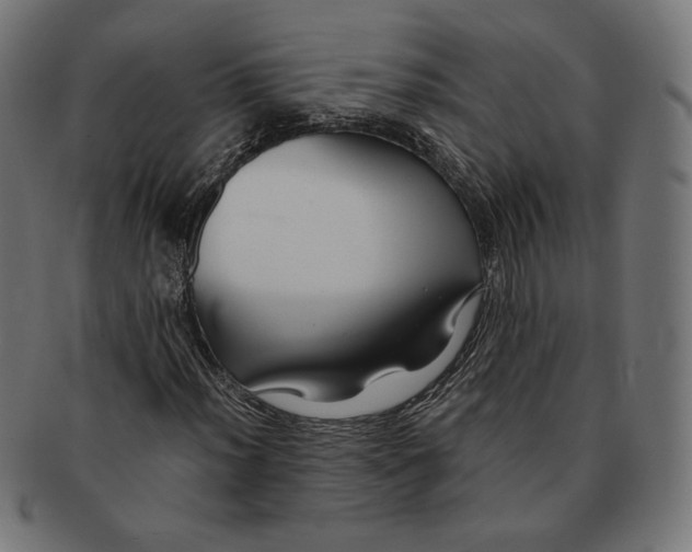 X0000091221012200709061455