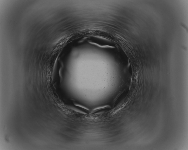 X0000091221014200709061455