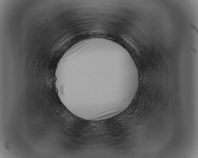 X0000091221015200709061455