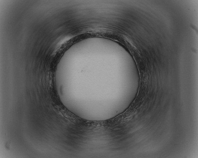 X0000091221016200709061455