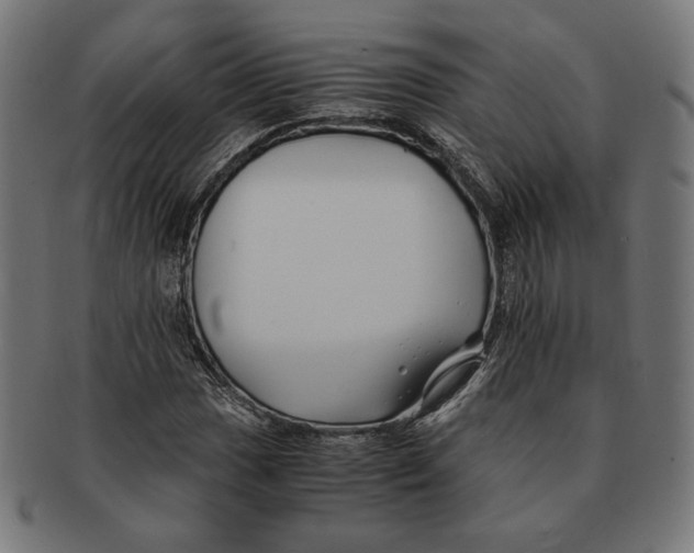 X0000091221017200709061455