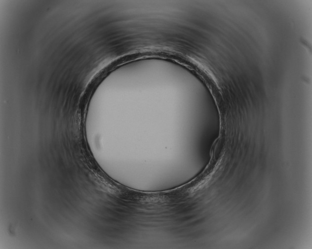 X0000091221021200709061455