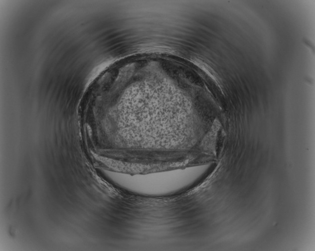 X0000091221022200709061455