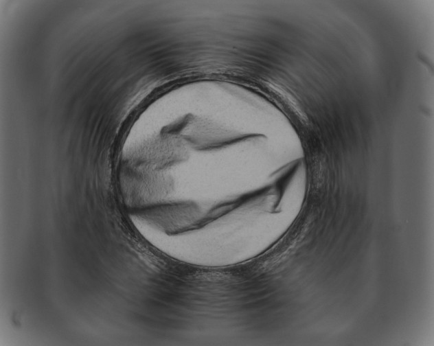 X0000091221023200709061455