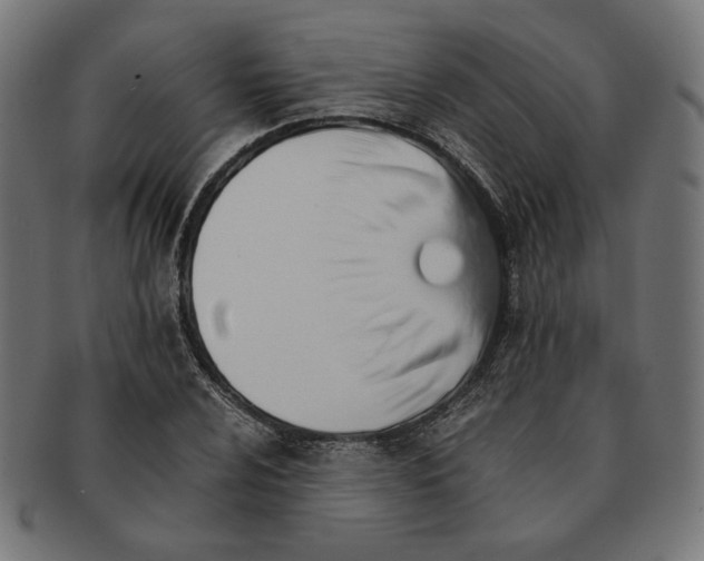 X0000091221024200709061455