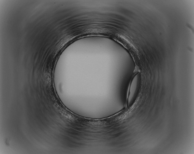 X0000091221025200709061455